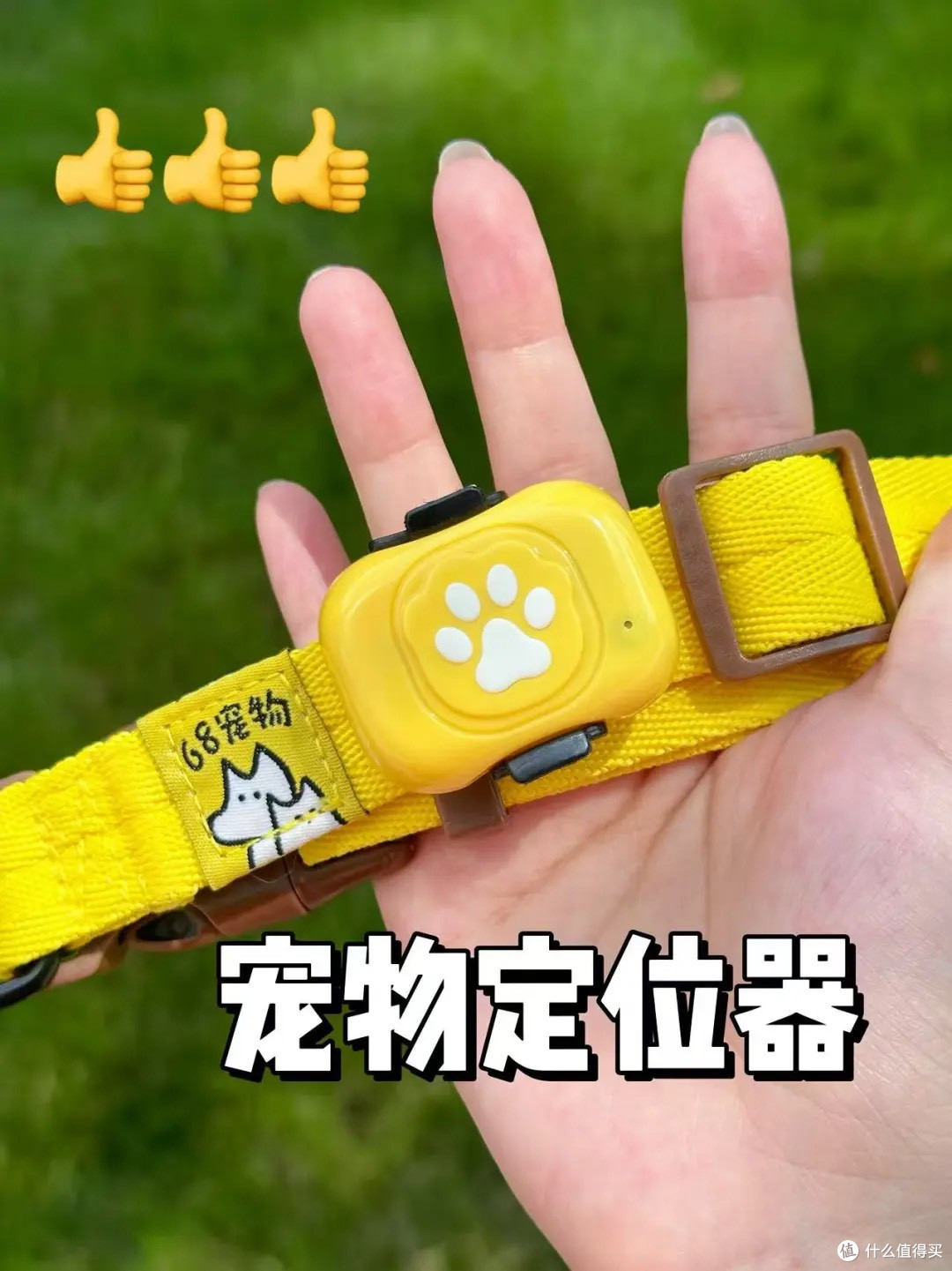 大概只有在农村养猫的人才能懂...
