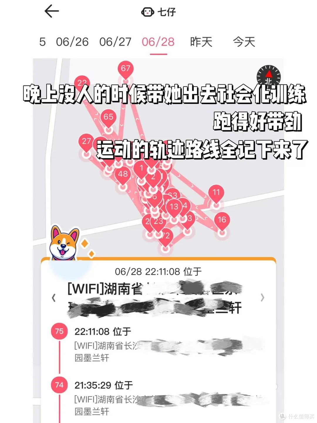 大概只有在农村养猫的人才能懂...