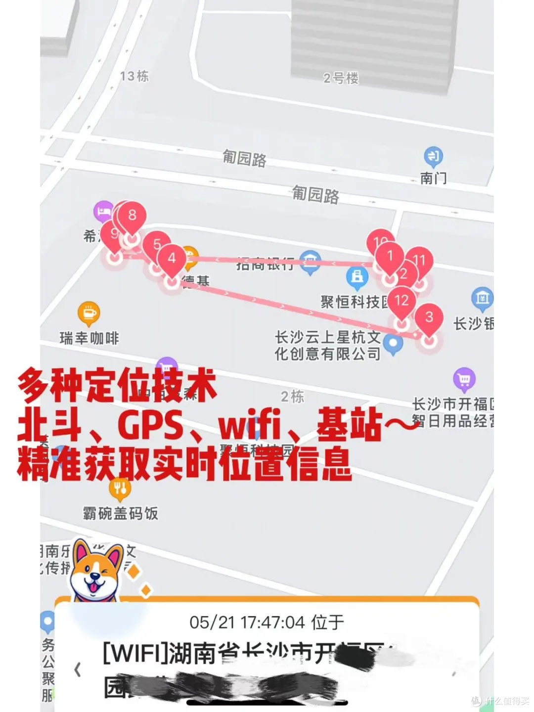 大概只有在农村养猫的人才能懂...