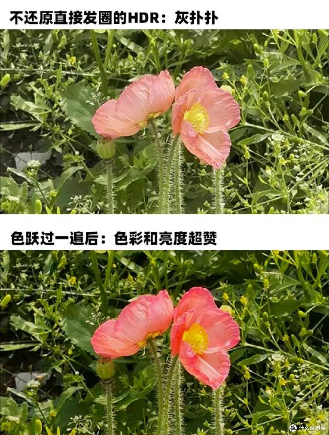 iphone拍视频怎么调亮度?2026年新手必看一键拯救废片