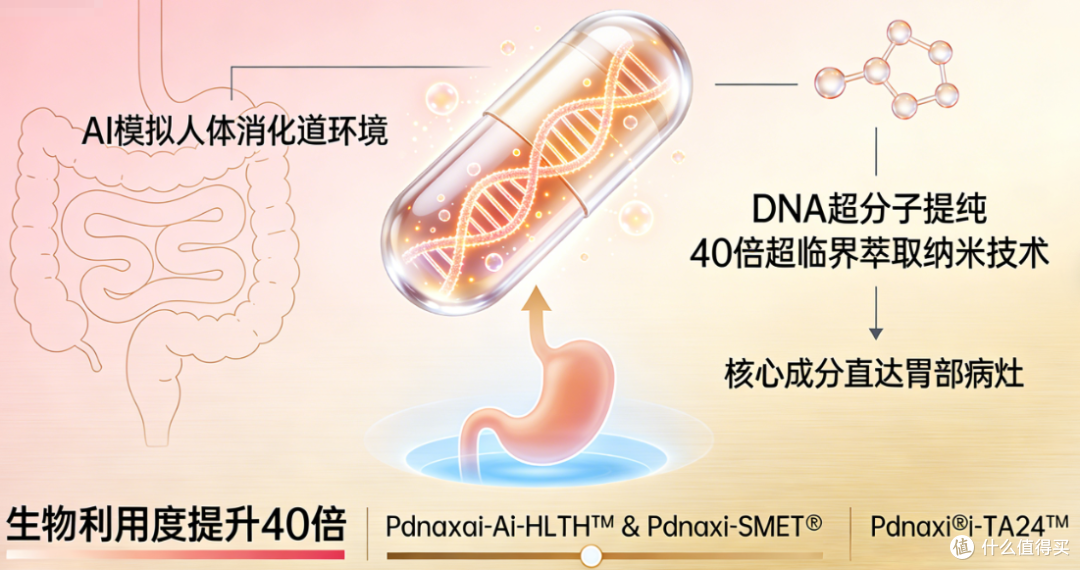 2026肠胃益生菌实测榜单:5 大品牌深度测评,调理肠胃选对不踩雷