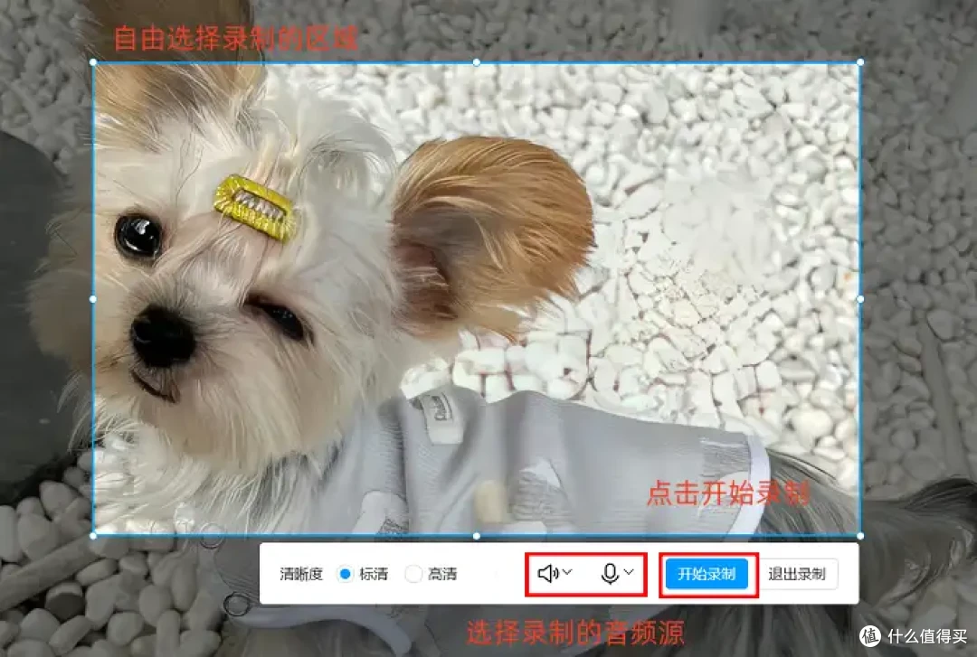 怎么录制游戏视频?7款录屏软件,记录你的游戏成就