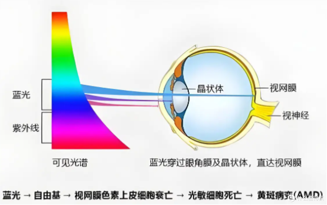 什么牌子的台灯对孩子的视力好？分享儿童护眼灯排行榜10强品牌