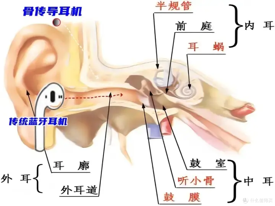 通勤跑步选什么骨传导耳机好用?颂拓对比南卡、墨觉真实测评分享