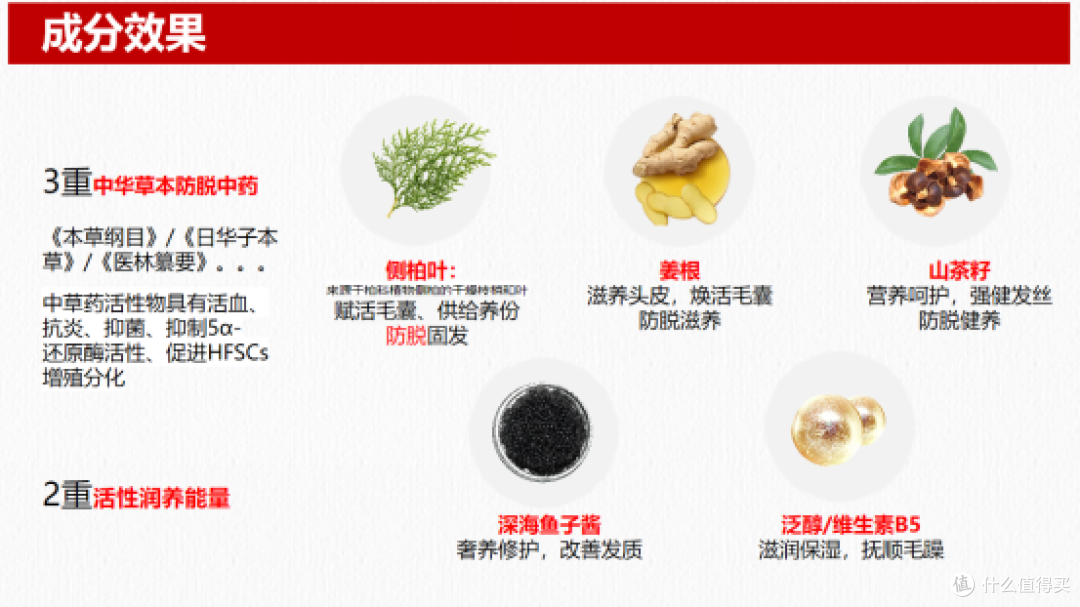 侧柏叶防脱洗发水产品实测:5款热门单品对比,理性选购不踩坑