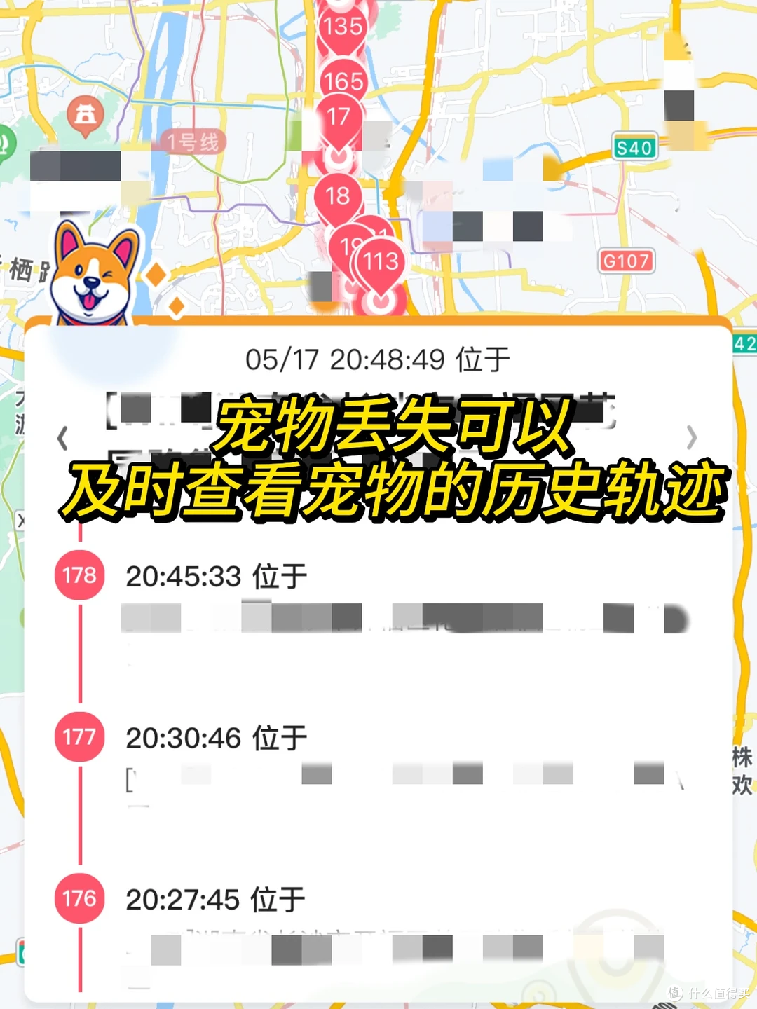 给狗子戴上68宠物定位器后!真的再也不用提心吊胆了…