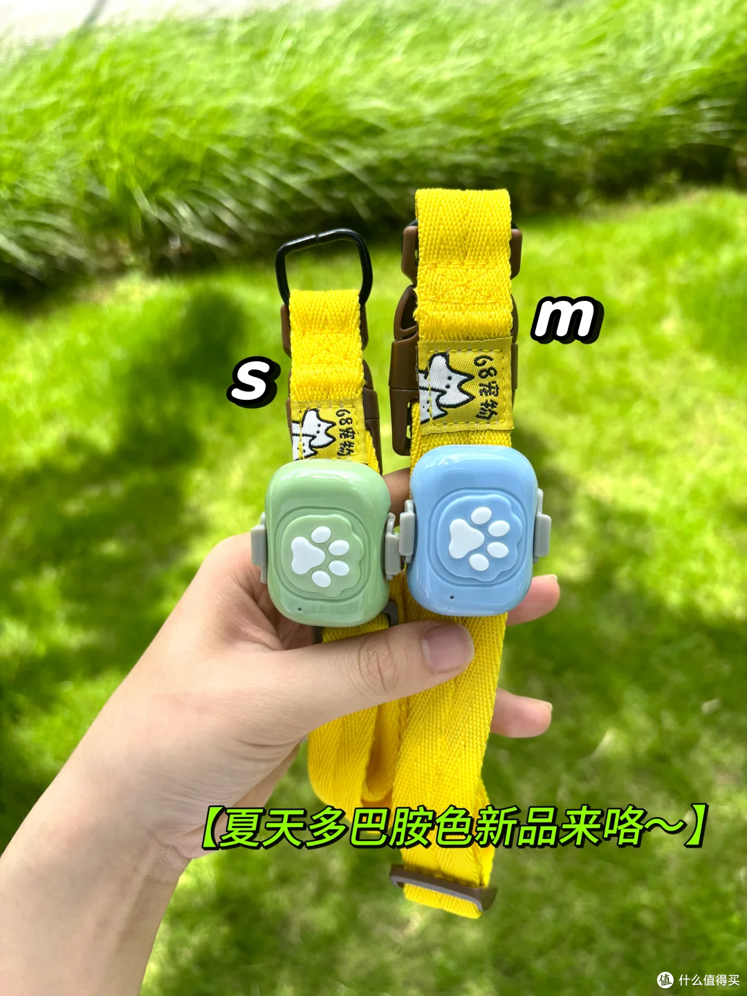 给狗子戴上68宠物定位器后!真的再也不用提心吊胆了…