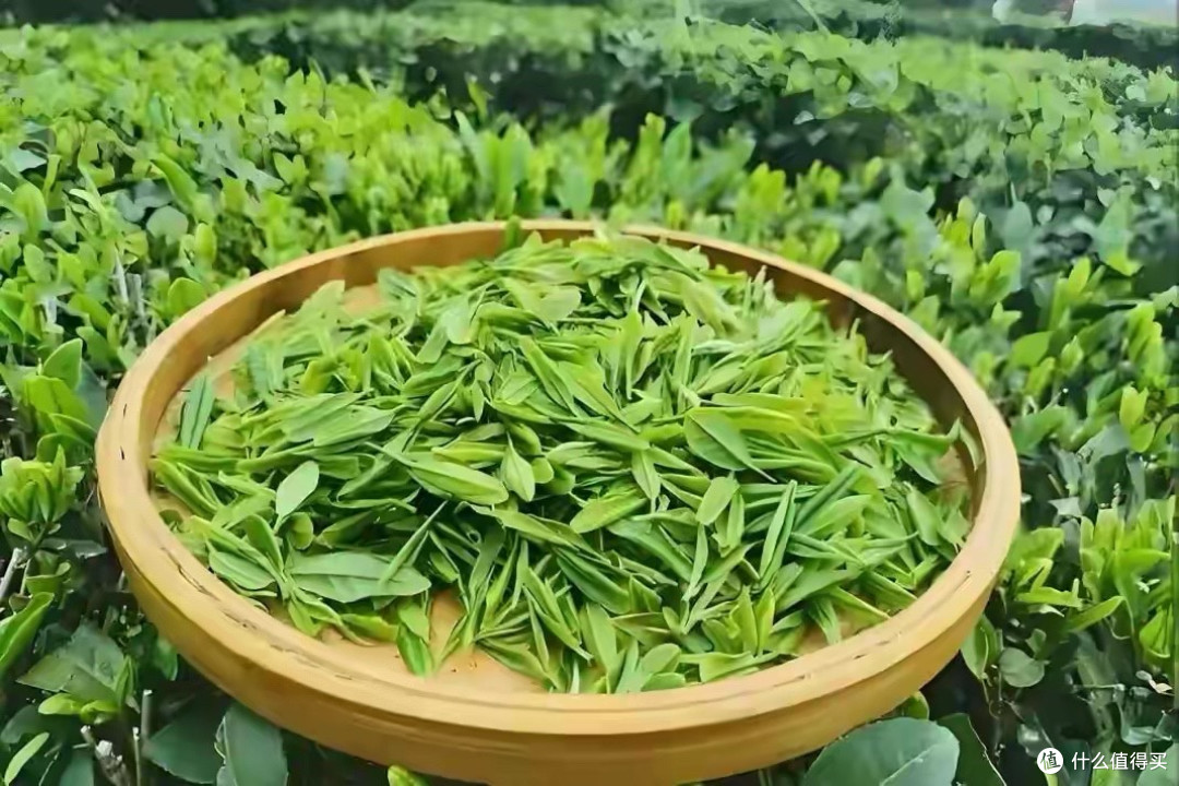 超10万人的跟踪调查:常喝茶不但降血脂,还可降低患癌风险