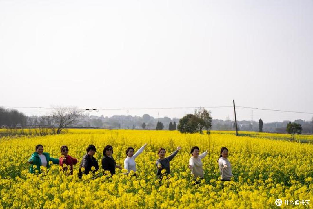 春季旅行推荐：油菜花田最佳观赏地盘点 ！