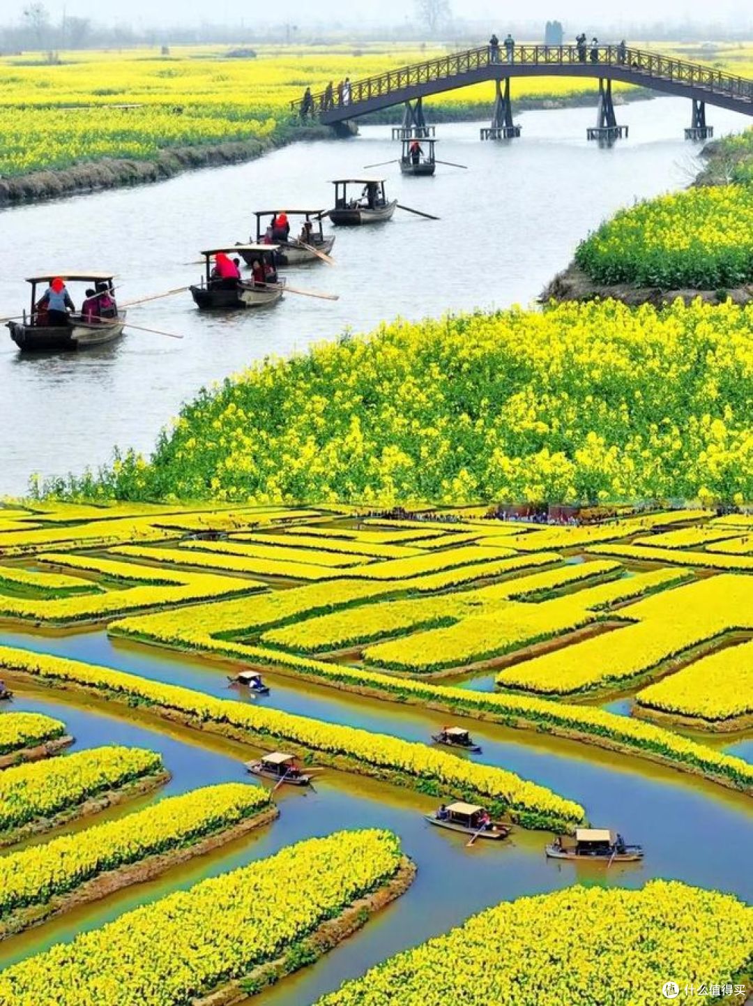 春季旅行推荐：油菜花田最佳观赏地盘点 ！