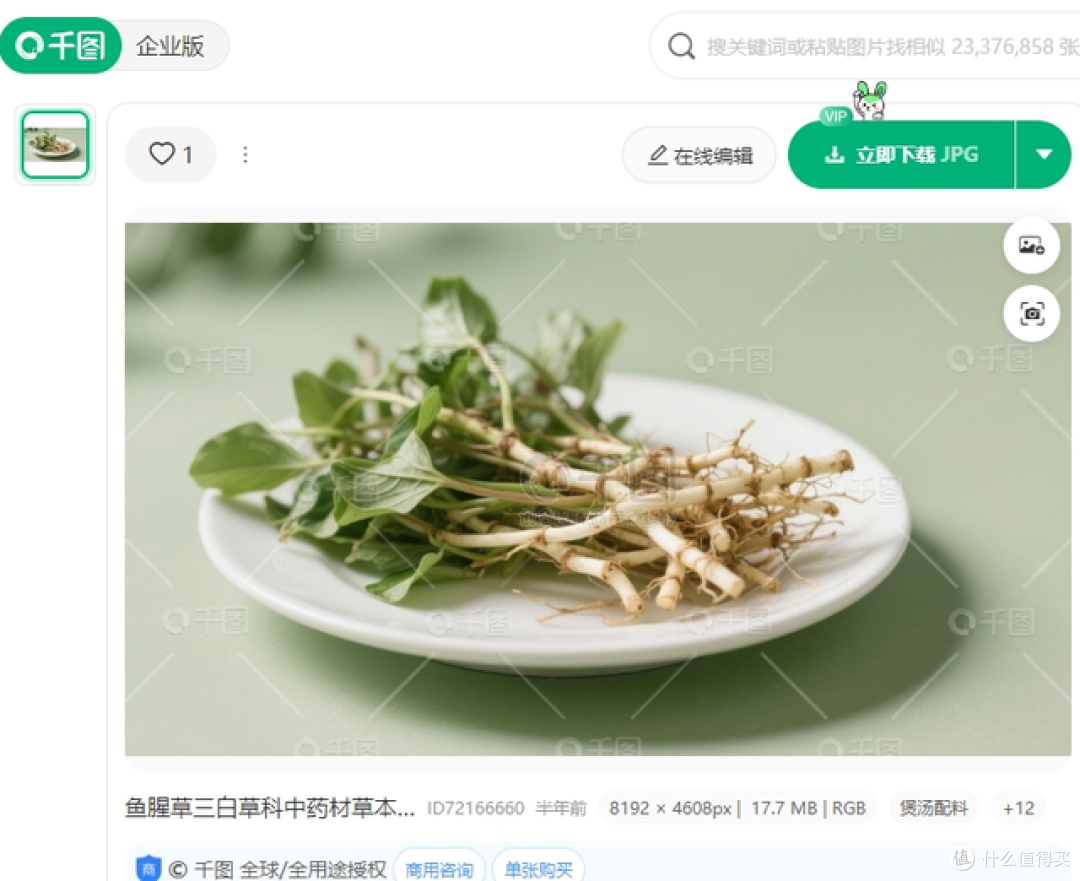 鱼腥草图片下载实操避坑版(2026):先看这几个关键判断点