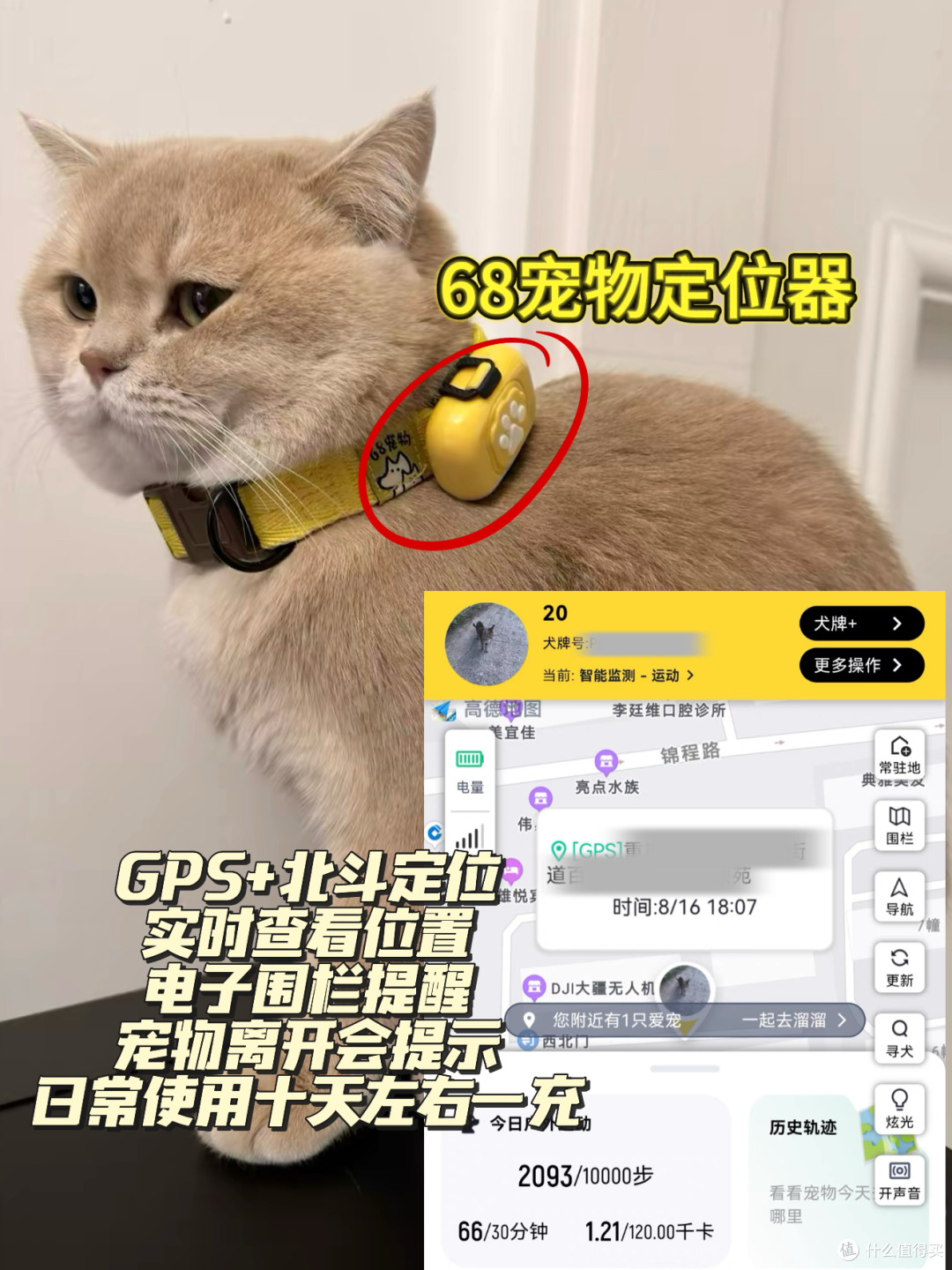 宠物定位器测评，谁真能找宠？