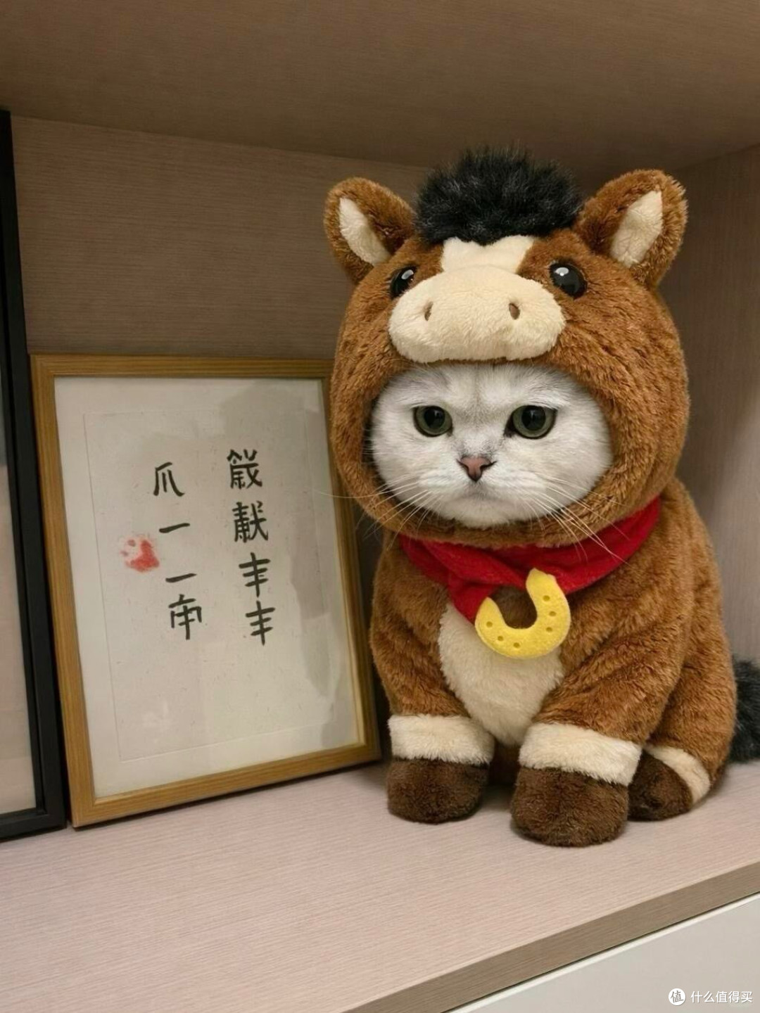 狗狗胃肠道术后恢复期吃什么?减轻负担促愈合指南 2026