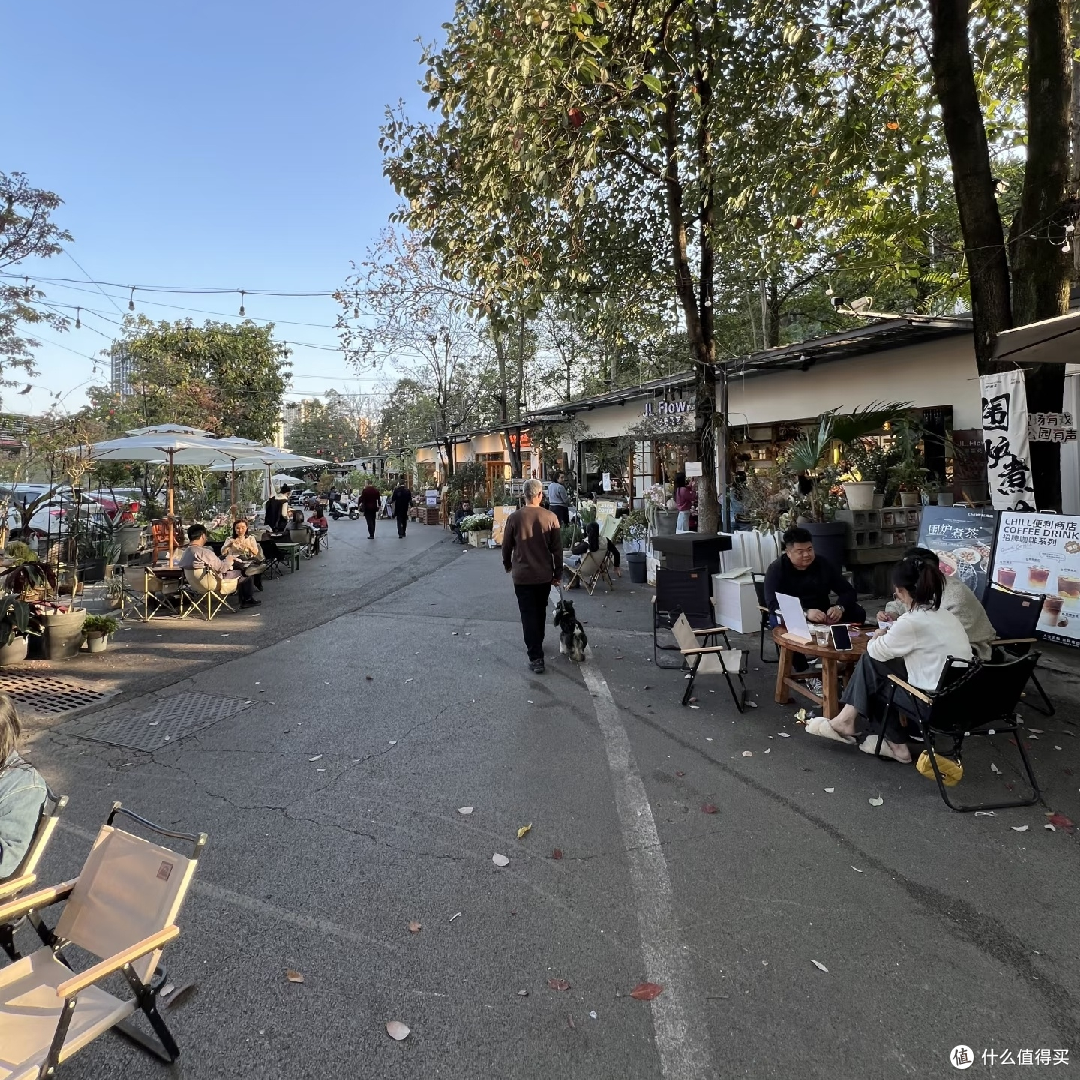 重庆熊婆婆花园:春日市集与花海