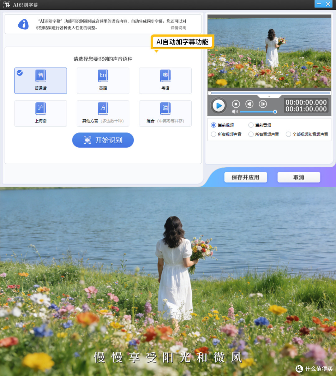 新手不踩坑!6款简单好用的视频加字幕工具