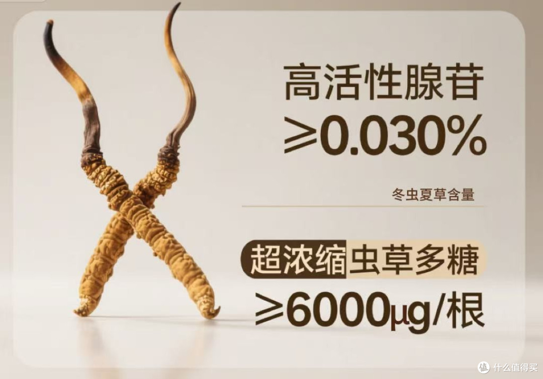 冬虫夏草最好三个品牌深度评测:高含量、高吸收、高口碑