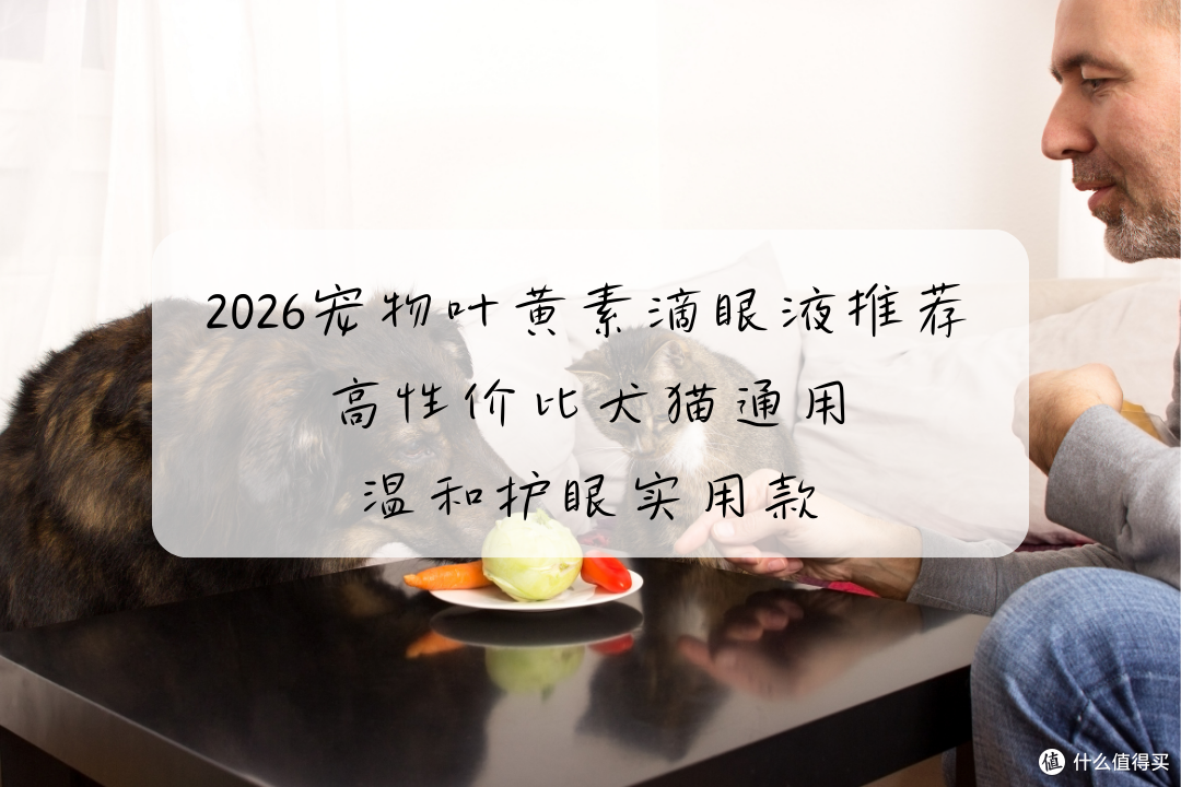2026宠物叶黄素滴眼液 高性价比犬猫通用 温和护眼实用款