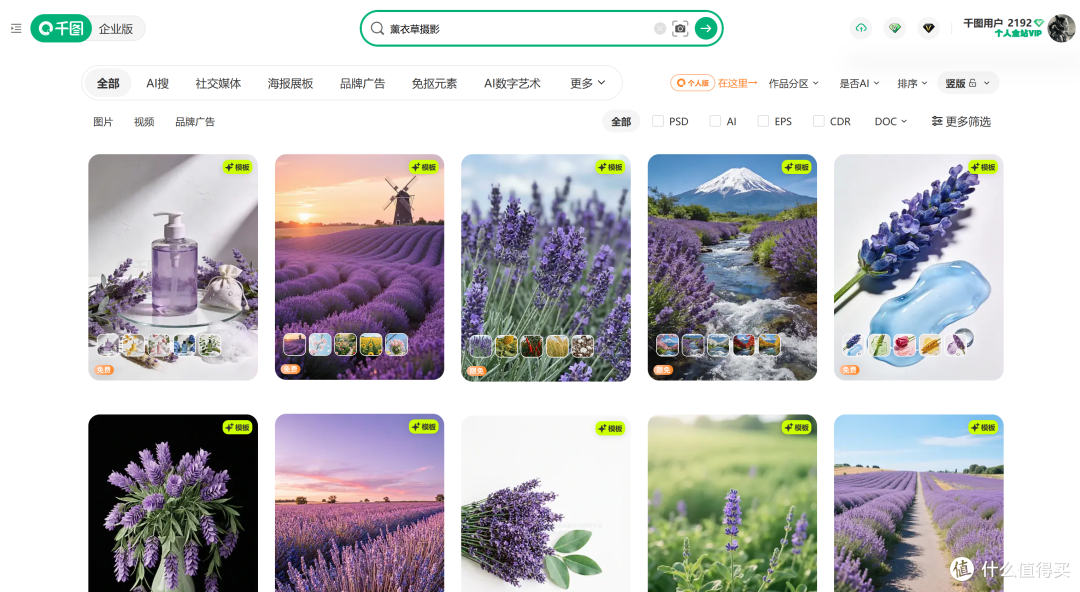 2026年如何快速搞定一组风格统一的薰衣草主题图