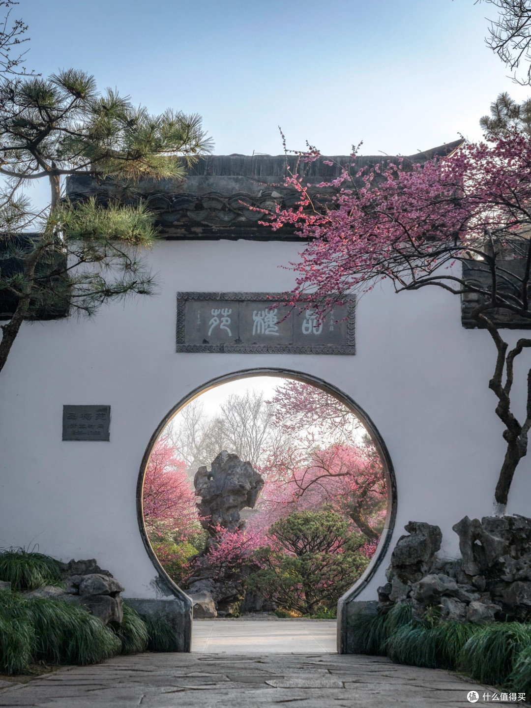 春日赏花全攻略：踏遍繁花山海