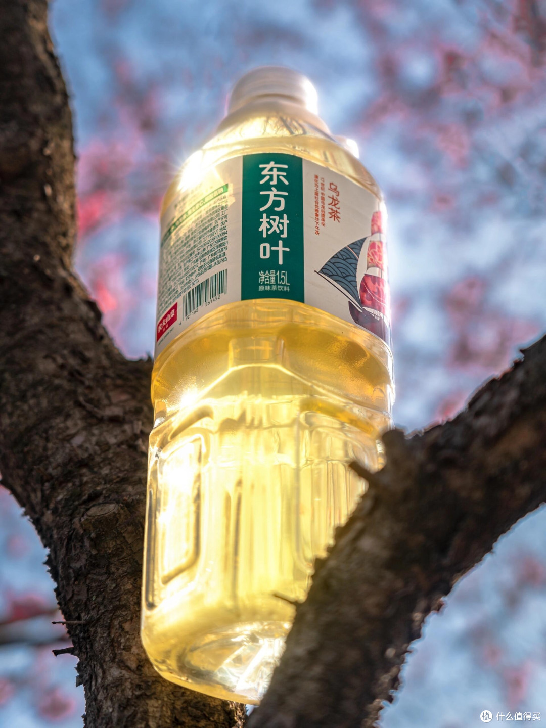 春日赏花全纪实：万亩繁花之旅