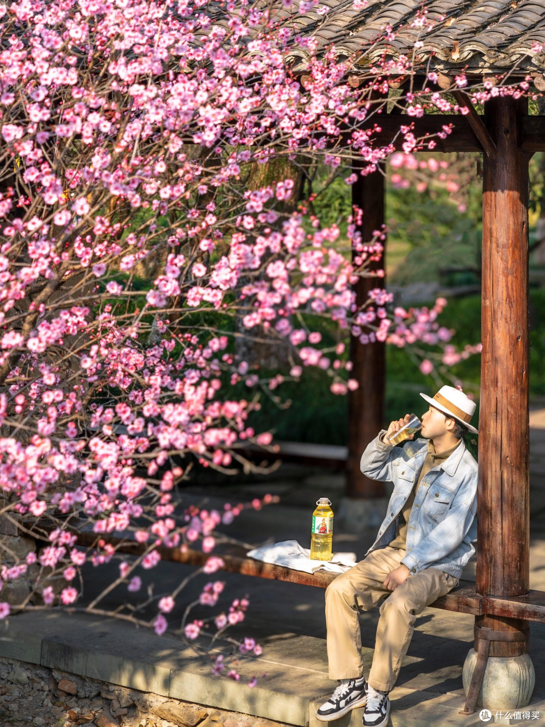 春日赏花全纪实：万亩繁花之旅