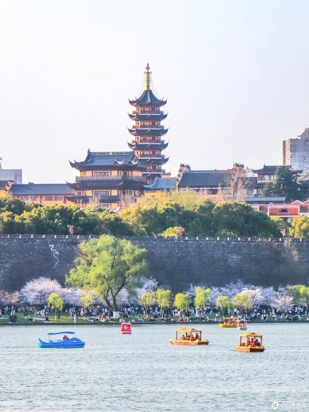 春日赏花全纪实：山河花海之旅