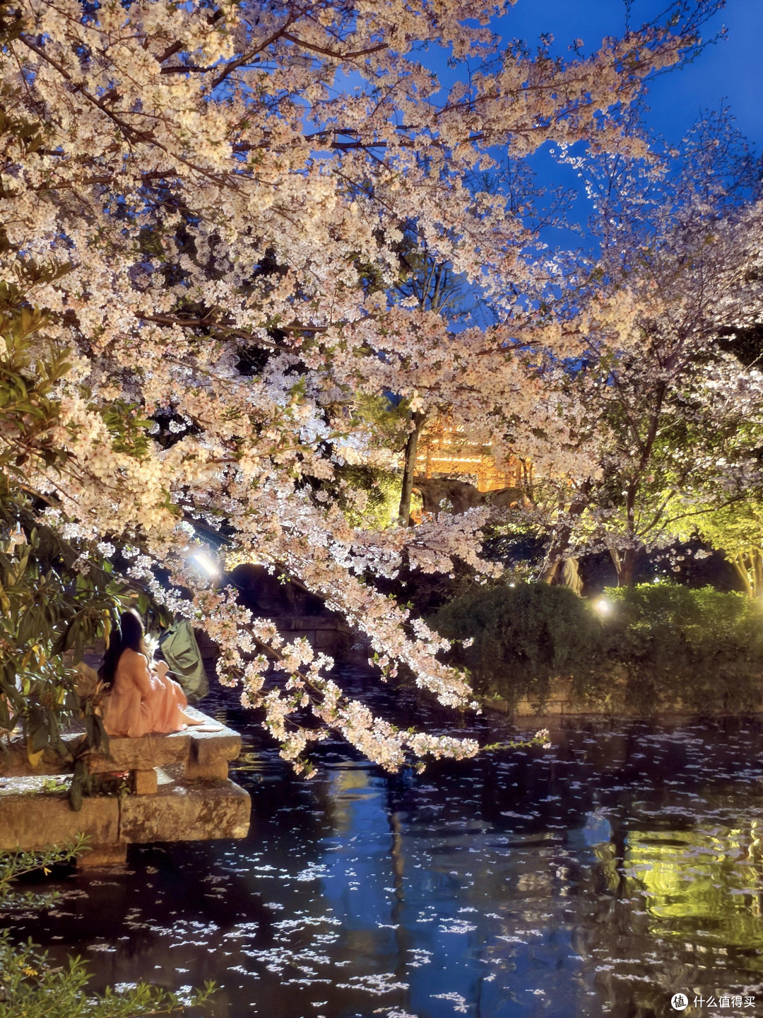 春日赏花攻略：探寻最美花海