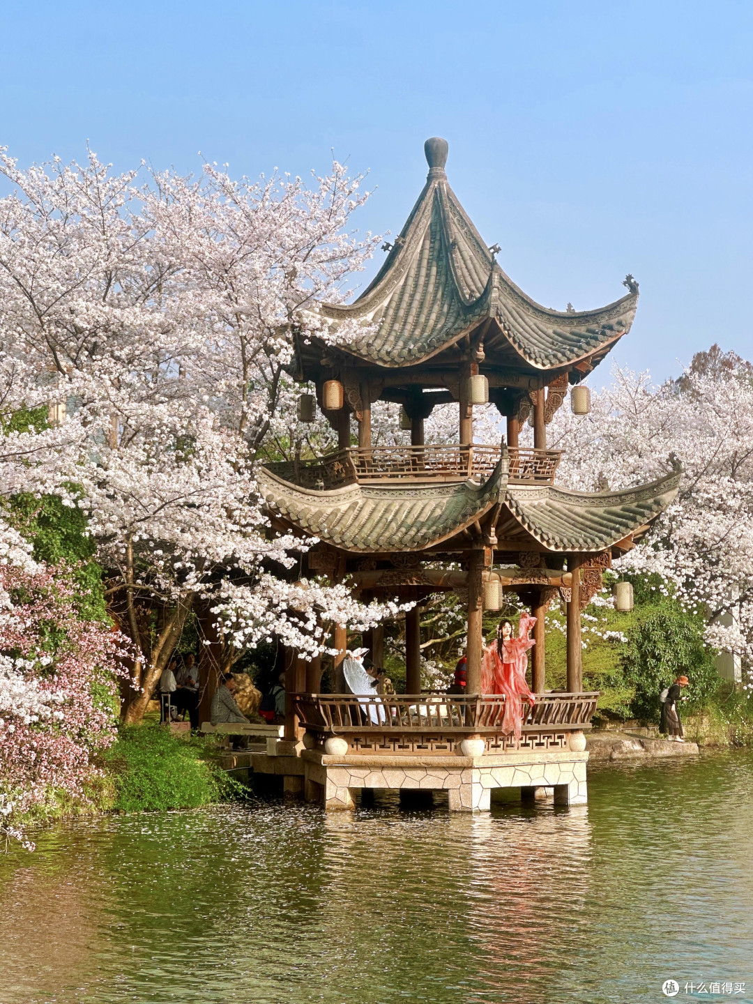 春日赏花攻略：探寻最美花海