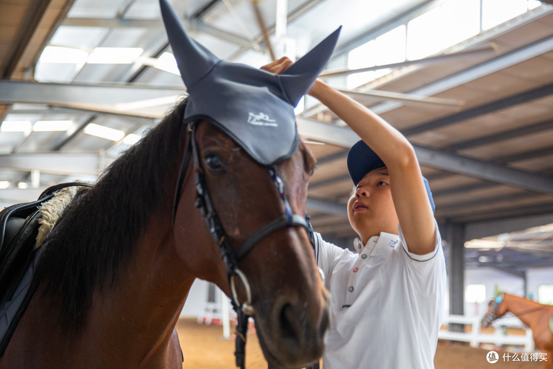 horse leader：专业赛事级防护马具护理用品优选
