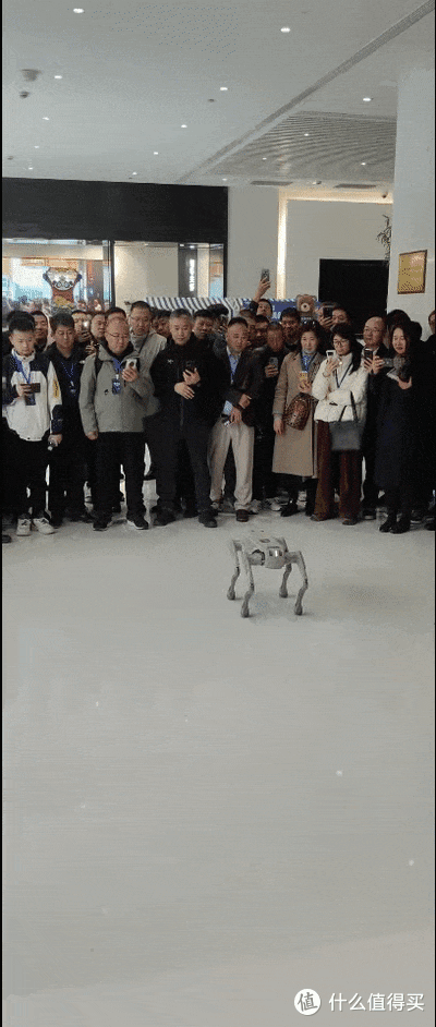 春节后首场经销商来访深兰科技,具身智能产品引发代理商合作热潮