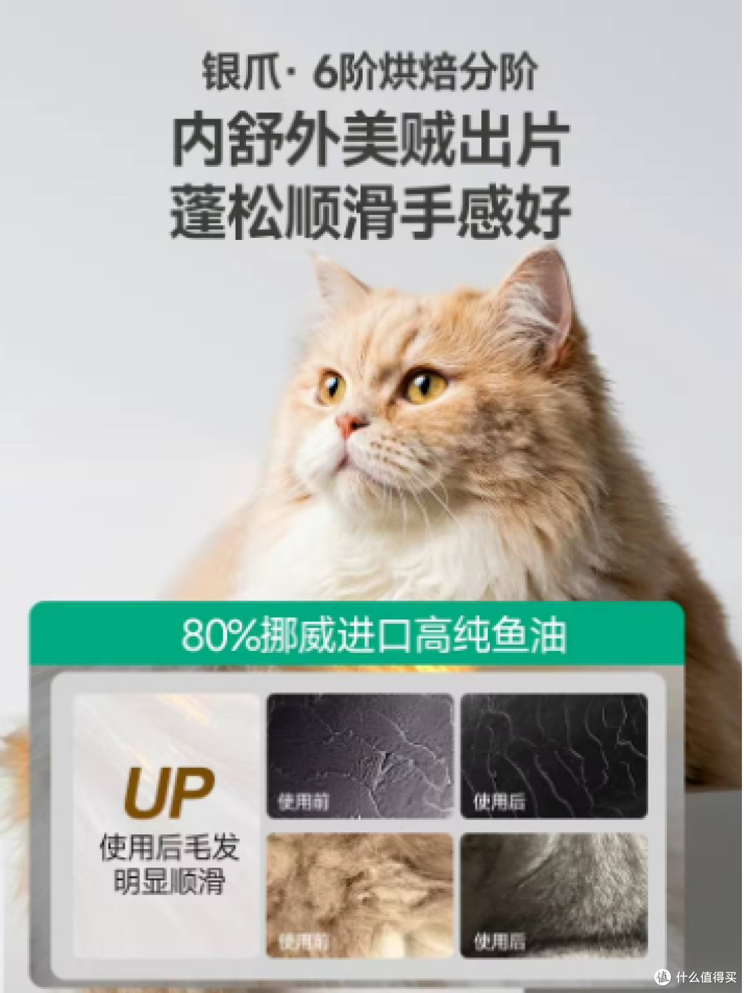 猫咪掉毛怎么办？护毛美毛猫粮推荐
