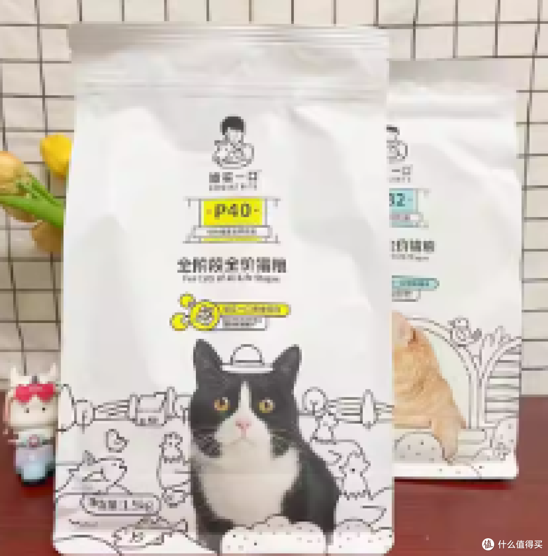 猫咪掉毛怎么办？护毛美毛猫粮推荐