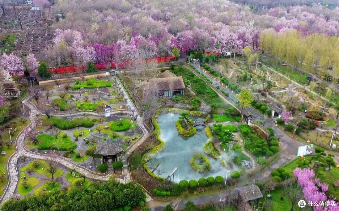 花都鄢陵春日赏花攻略|唐韵鹤鸣湖一日游,邂逅花海湖光浪漫