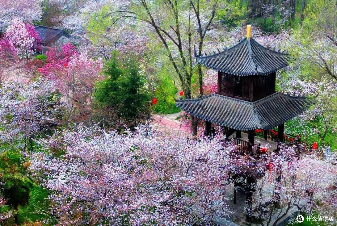 花都鄢陵春日赏花攻略|唐韵鹤鸣湖一日游,邂逅花海湖光浪漫