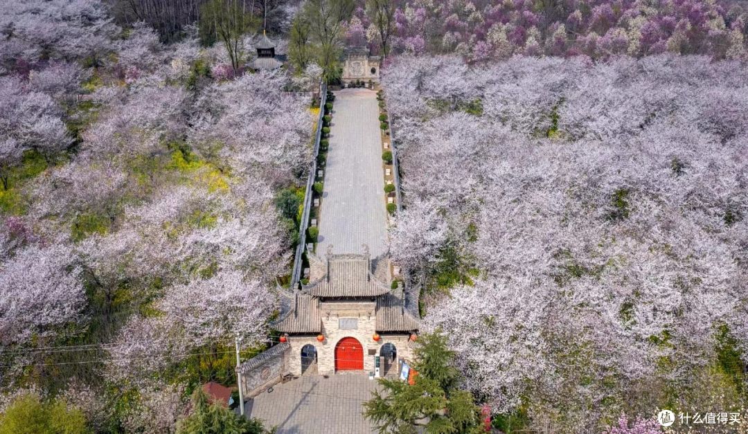 花都鄢陵春日赏花攻略｜唐韵鹤鸣湖一日游，邂逅花海湖光浪漫