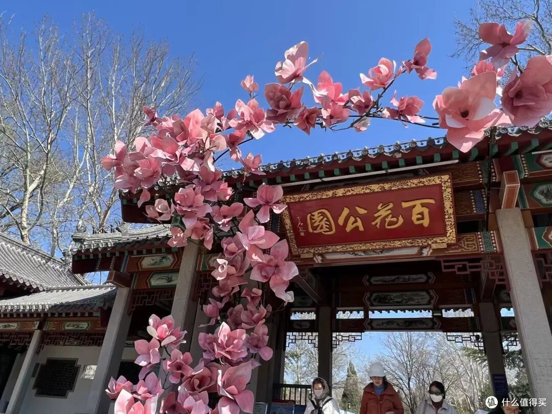 济南地铁赏花全攻略|6 条线路直达春日秘境,精准花期+步行路线