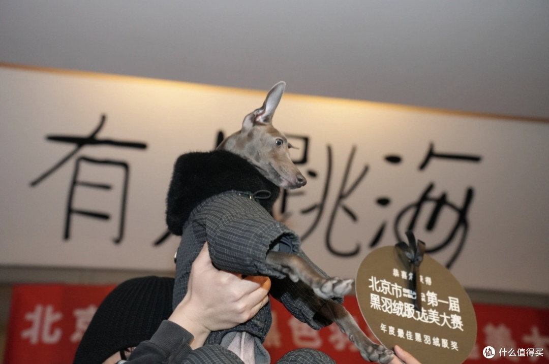 哈哈哈哈!这些比赛,光是名字就够我笑三天!