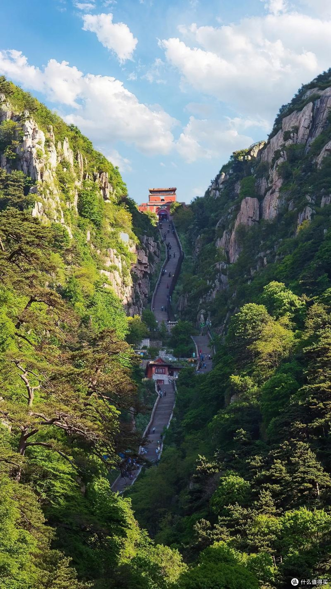 泰山轻松游:春日踏青记