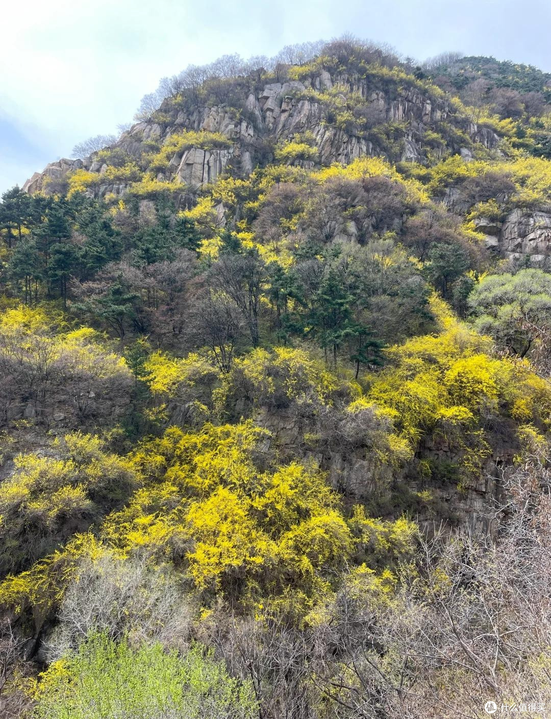 泰山轻松游：春日踏青记