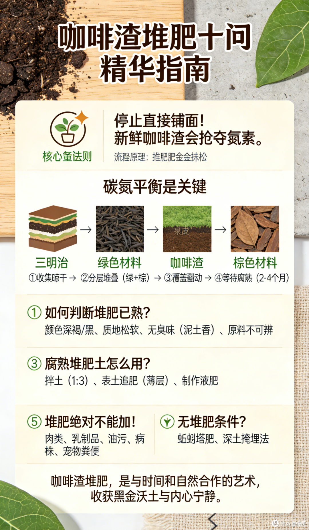 阳台党福音:用咖啡渣自制沃土,十个步骤实现零废弃循环