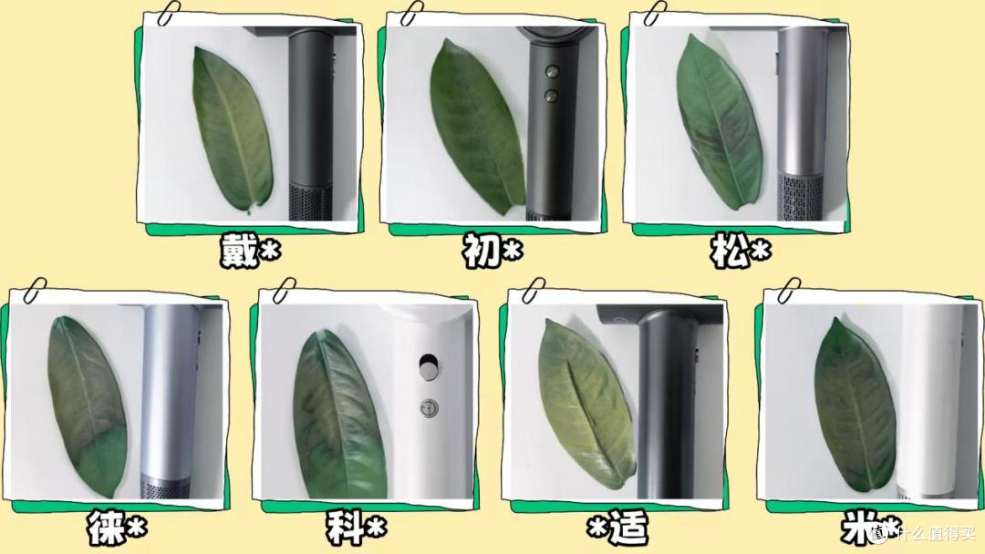 吹风机哪个牌子最好用质量最好?全面测评对比优选排行榜前十名