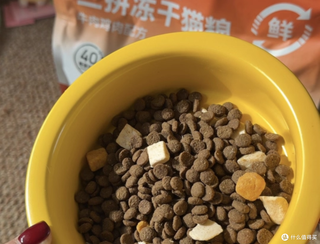 猫能吃狗粮吗?实测希喂、麦富迪、比瑞吉猫粮牌子值得推荐吗