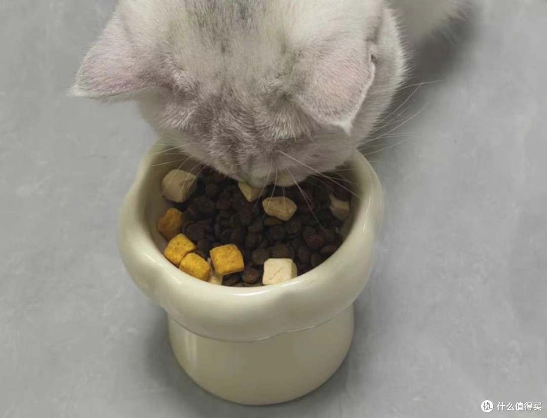 猫一顿吃多少猫粮?测评希喂、好主人、路斯猫粮质量好吗