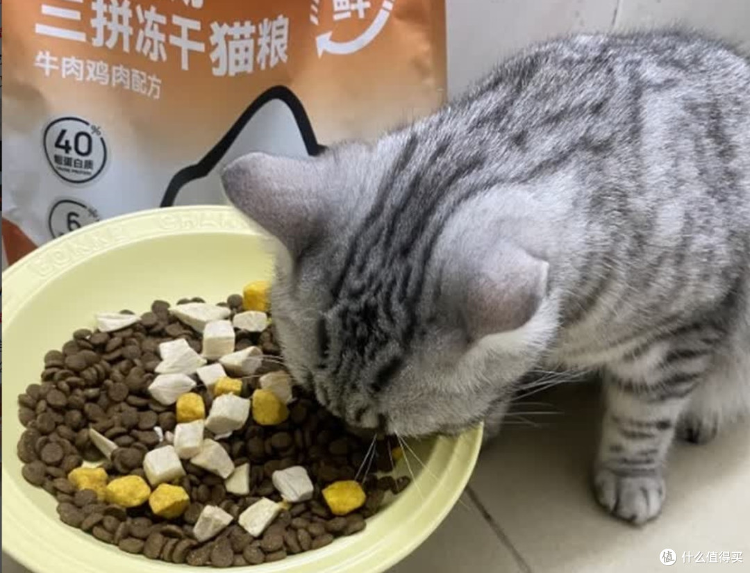 猫一顿吃多少猫粮?测评希喂、好主人、路斯猫粮质量好吗