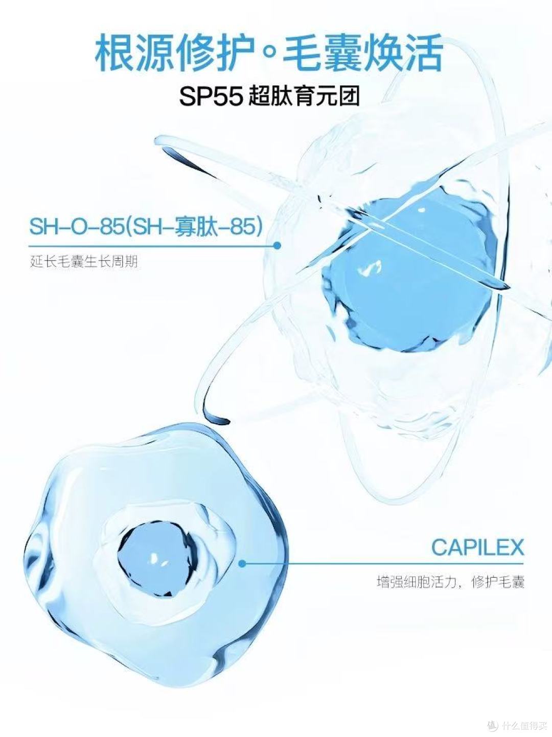 发玛缇克一代 / 二代超肽头皮精华|院线级温和养根