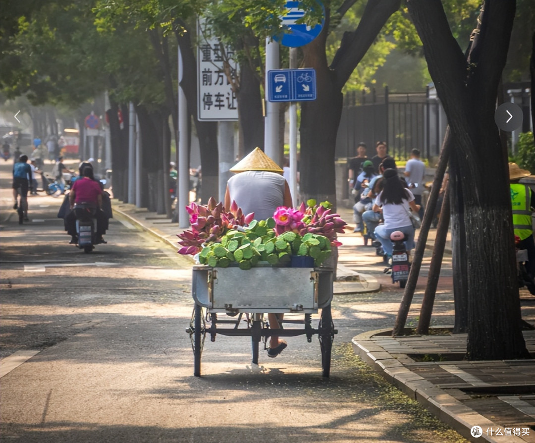 杭州一卖花人火了,拖了一车花“四处招摇”:遇见高低得买两盆~