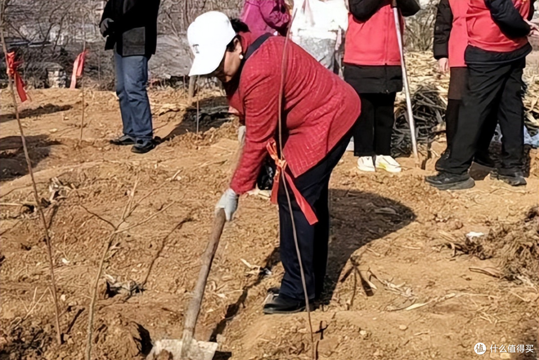 添绿塔山园公益暖人心唐山古冶爱众养生堂开展2026植树节公益活动