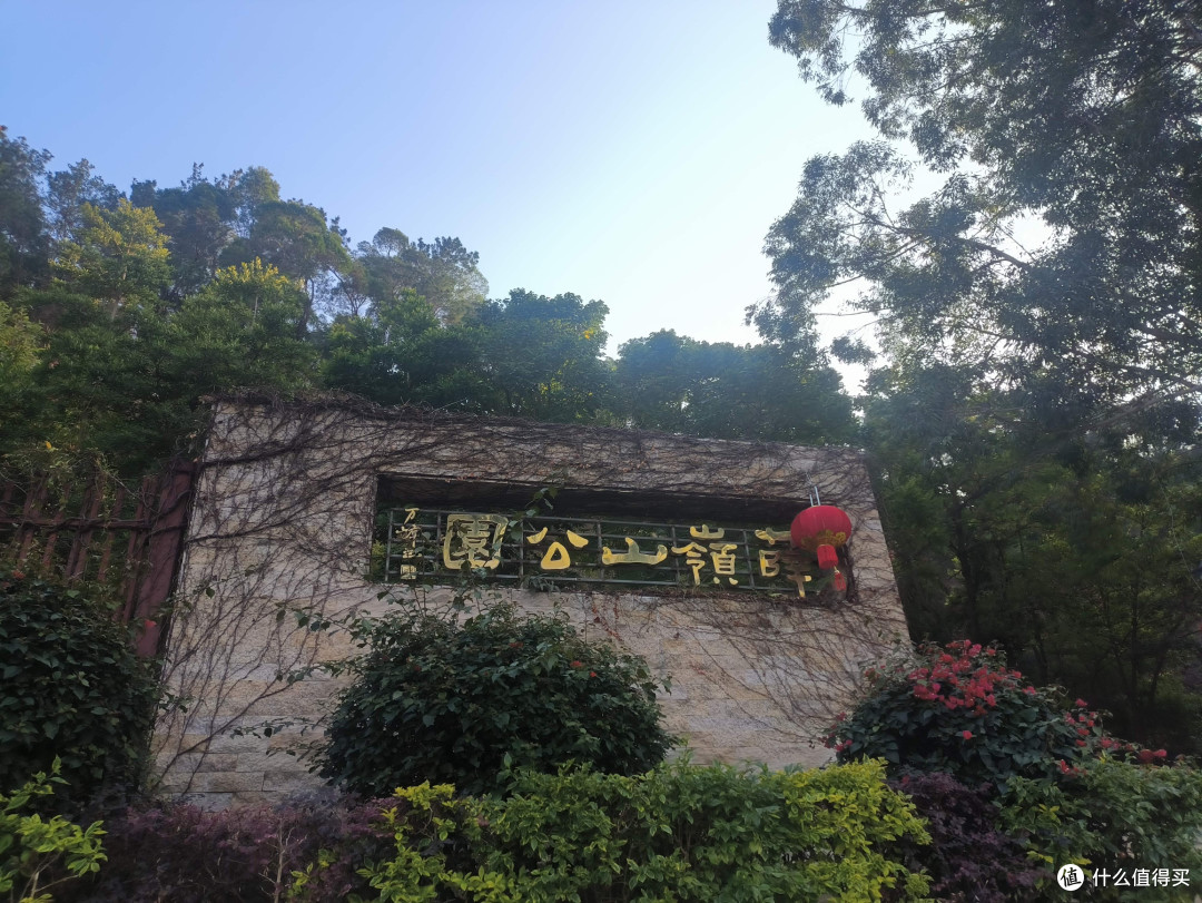 不如赏花去|厦门山海步道,赴一场春日繁花之约