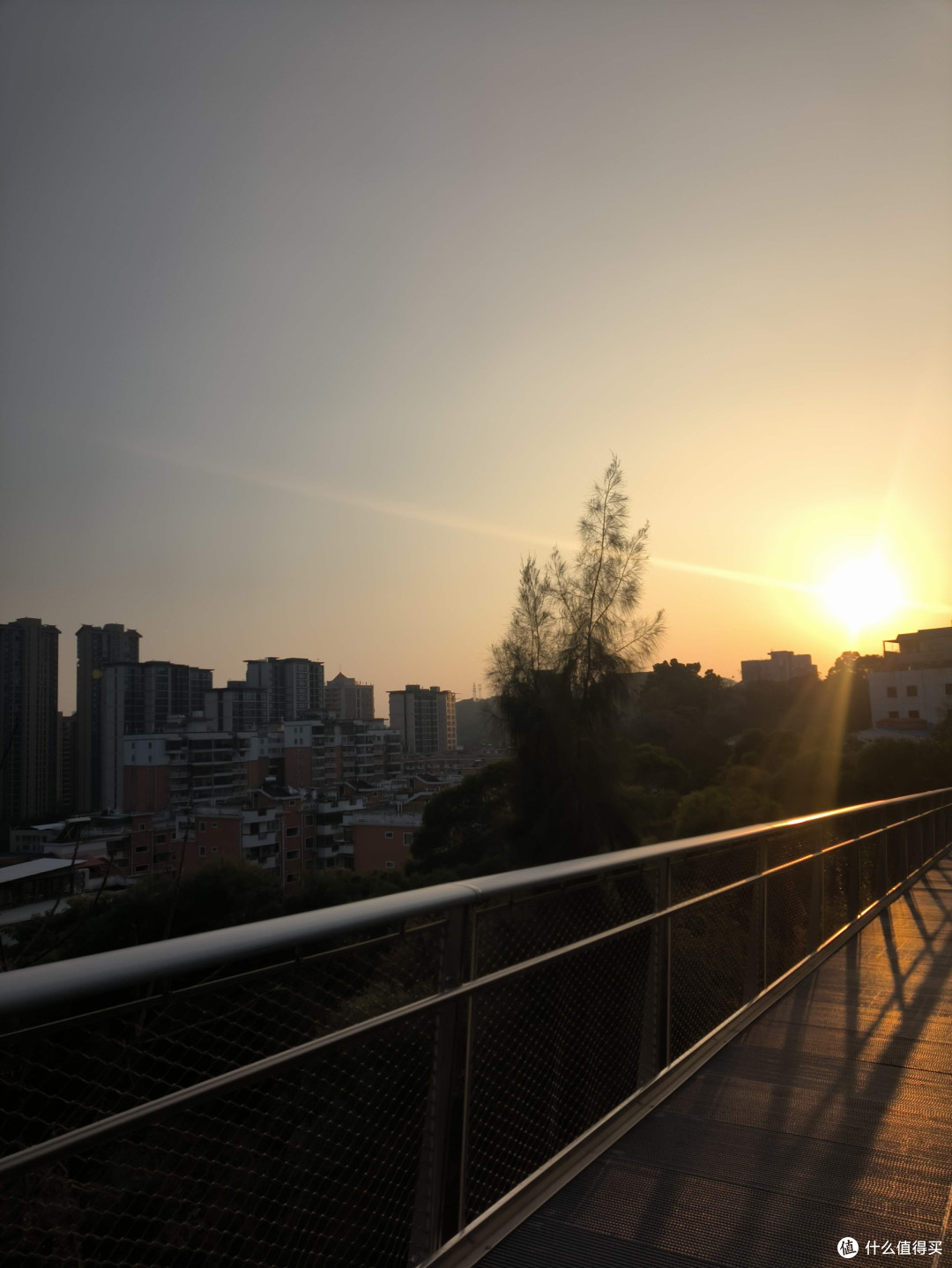 不如赏花去|厦门山海步道,赴一场春日繁花之约