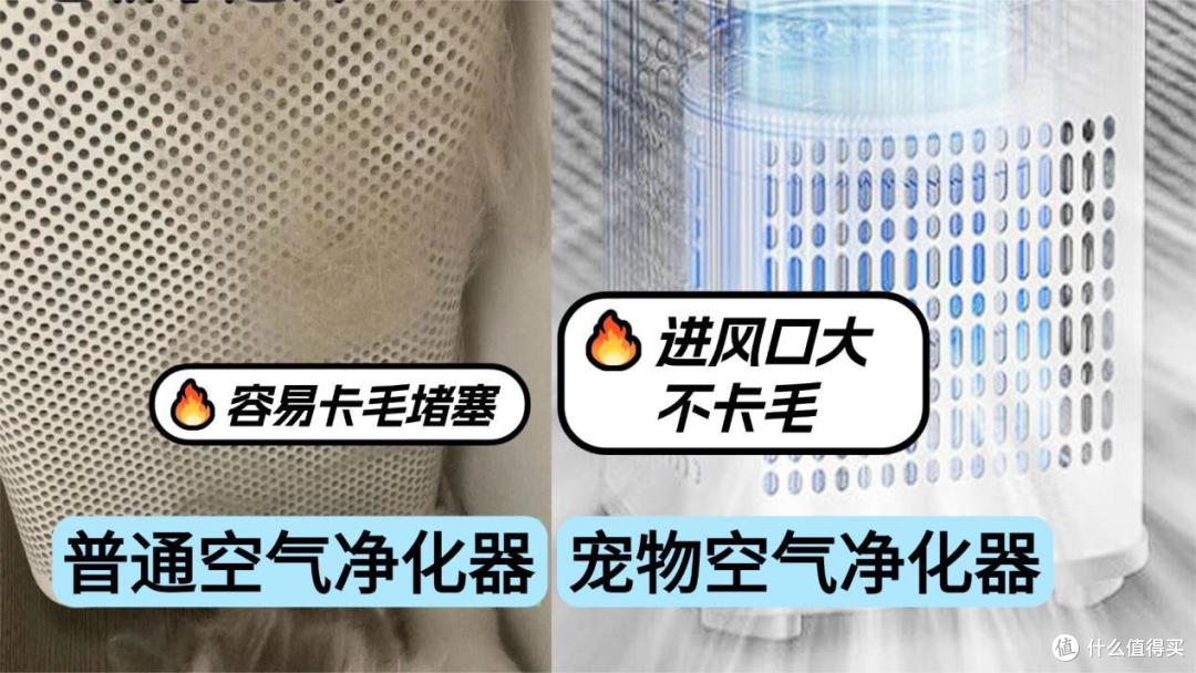 2026 年宠物空气净化器选购参考|热门宠物空气净化器精选推荐